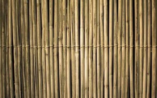 属牛人遇劫如何应对 牛生肖避险指南