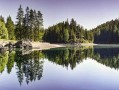《梦见尼姑是吉是凶？风水师揭秘梦境背后的真相》