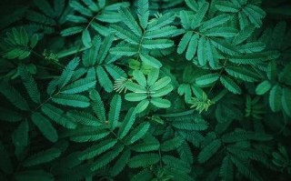 【双标题】2025年3月29日入宅真的吉利吗 风水师揭秘乔迁择日真相