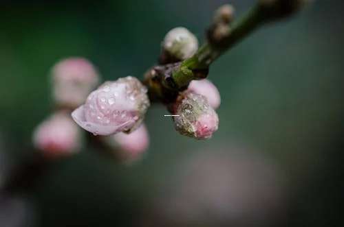 卧室为何不能放炉具 风水禁忌与生活隐患揭秘-第1张图片-三叶秋网 卧室为何不能放炉具 风水禁忌与生活隐患揭秘-第1张图片-三叶秋网