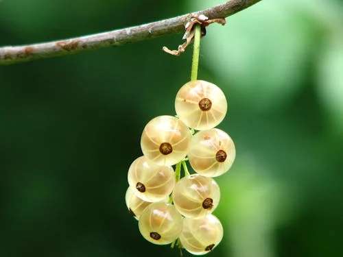 兔马姻缘如何化解?风水师揭秘生肖婚配秘诀-第1张图片-三叶秋网 兔马姻缘如何化解?风水师揭秘生肖婚配秘诀-第1张图片-三叶秋网
