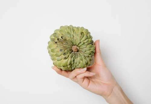 手机号码5是吉是凶 2025年3月黄道吉日如何选号-第1张图片-三叶秋网 手机号码5是吉是凶 2025年3月黄道吉日如何选号-第1张图片-三叶秋网